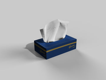 GLEAM 2PLY RECTANGLED FACIAL TISSUES 100 SHEET 48 BOXES